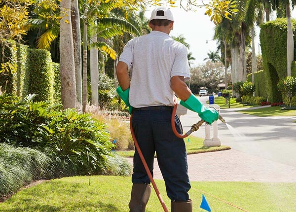 About Wadmalaw Island SC Pest Control Pros